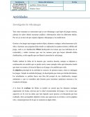 Actividades Investigador de videojuegos