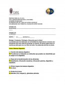 GUÍA LABORATORIO BIOLOGÍA 2 ANATOMÍA