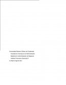 Dentro y Fuera de la BV Ventajas y Desventajas