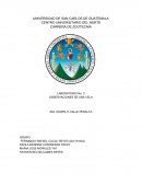 OBSERVACIONES DE UNA VELA