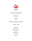 Trabajo grupal 1 MASHUA