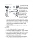 Alteraciones en la acomodacion