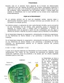 Guía Fotosintesis