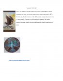 Martha Chapa y su manzana: Un recorrido por la exposición