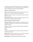 Integradora de Genetica