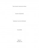 Corrección Estructura de mi informe