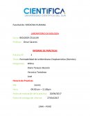 Título: Permeabilidad de la Membrana Citoplasmática (Osmósis)