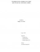 AVANCE 2 “Pulgar y CIA LTDA”