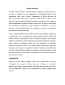 Diagrama de flujo y proceso agua mineral.