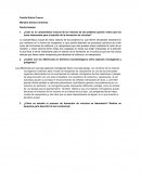 Cuál es la característica inusual de los ratones de las praderas (prairie voles) que los torna interesante para el estudio de la formación de vínculos?