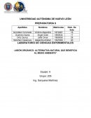 Jabón orgánico: Alternativa natural que beneficia al medio ambiente