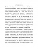 La hoja de la vida INTRODUCCIÓN