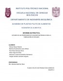ESTUDIO DE LAS PROPIEDADES DE ALGUNOS MATERIALES PARA LA FABRICACIÓN DE ENVASES