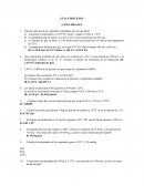 GUIA EJERCICIOS GASES IDEALES