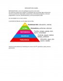 MERCADOTECNIA GLOBAL