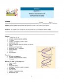 Prática “EXTRACCION DE ADN”