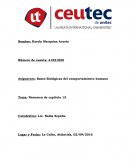 Las hormonas son los mensajeros químicos del cuerpo. Viajan a través del torrente sanguíneo hacia los tejidos y órganos. Surten su efecto lentamente y, con el tiempo, afectan muchos procesos distintos, incluyendo: