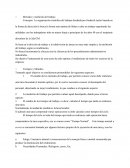 Su objetivo Funtamental de esta teoria ha sido optima el rendimiento de todos los sectores de la empresa.