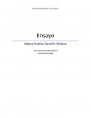 Teoria socicultural de vygotsky.