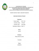 Aspectos Laborales, Higiene y Seguridad Ocupacional Movimiento Sindical en Panamá
