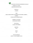 ENSAYO SOBRE “ENRON LOS GRANDES ESTAFADORES A AMÉRICA”