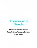 Tema: Repercusión en la toma de decisiones de las organizaciones que se encuentran bajo un marco jurídico.