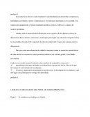 Lo que la escuela ofrece