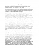 El ladrón de libros: Una sinopsis