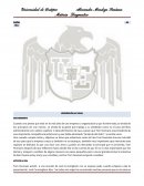 Análisis del libro administración por valores NEW UNE