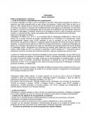 Volkswagen Sector automotriz