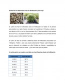 La Evaluación de diferentes dosis de fertilización para Frijol