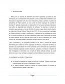 Educacion y programas sociales- INTRODUCCIÓN