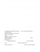 EMPRESA “PRODUCTOS CHATA”