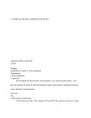 L’ETIQUETATGE DELS ALIMENTS INFANTILS