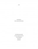 Ejercicios producion