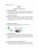 Hay varias emociones pero según algunos estudios no es preciso pensar que existen emociones básicas, entre las emociones mas comunes se pueden mencionar el enojo, desdén