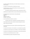 Las células son formadas, además de agua y otras sustancias simples, por cuatro tipos de moléculas orgánicas