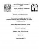 Ensayo sobre “El consumo del alcohol y su repercusión en el desempeño académico de los estudiantes del CCH Oriente”