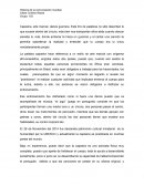 Capoeira, arte marcial, danza guerrera. Este trío de palabras no sólo describen lo que sucede dentro del círculo, más bien nos transportan años atrás cuando danzar salvaba tu vida, donde entrenar te hacia un guerrero y el cantar una canción te perm