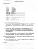 LABORATORIO N° 1 DENSIDAD