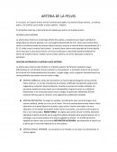 En la mujer, en la pelvis menos entras 6 arterias principales: las arterias iliacas internas , y ováricas, pares, y las arterias sacra media y rectal superior , impares.