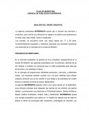 PLAN DE MARKETING ANALISIS DEL GRUPO OBJETIVO.