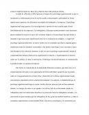 ENSAYO REFLEXION EL ROL DEL PSICOLOGO ORGANIZACIONAL