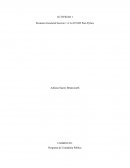 Resumen Gerencial Seccion 1 A La 20 NIIF Para Pymes Adriana Suarez Betancourth