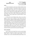 Proyecto FC & E Juno