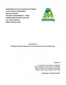 Dinámica de fluidos (Ecuación de continuidad y Ecuación de Bernoulli)