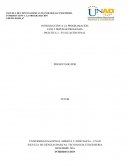 Como se da la Introducción a la programacion practica 2