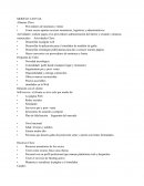 Actividades: realizar pagos a los proveedores administración del dinero y recaudo y alianzas comerciales