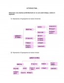 Seleccione una empresa preferiblemente en la cual usted trabaja y realice lo siguiente: Administracion