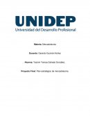 Proyecto Final: Plan estratégico de mercadotecnia